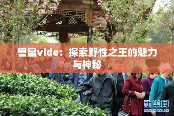 兽皇vide：探索野性之王的魅力与神秘