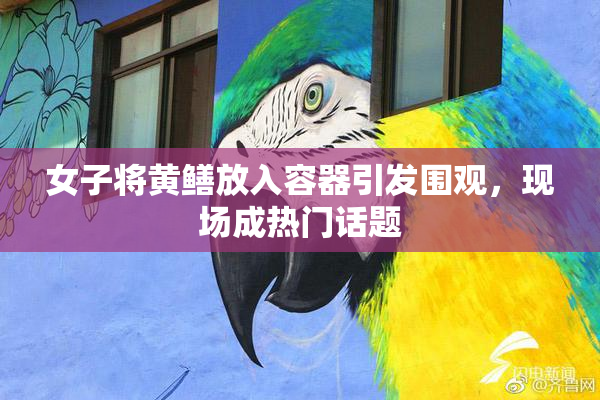 女子将黄鳝放入容器引发围观，现场成热门话题