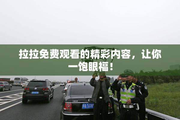 拉拉免费观看的精彩内容，让你一饱眼福！