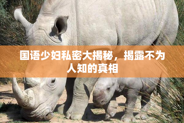 国语少妇私密大揭秘，揭露不为人知的真相