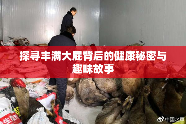 探寻丰满大屁背后的健康秘密与趣味故事