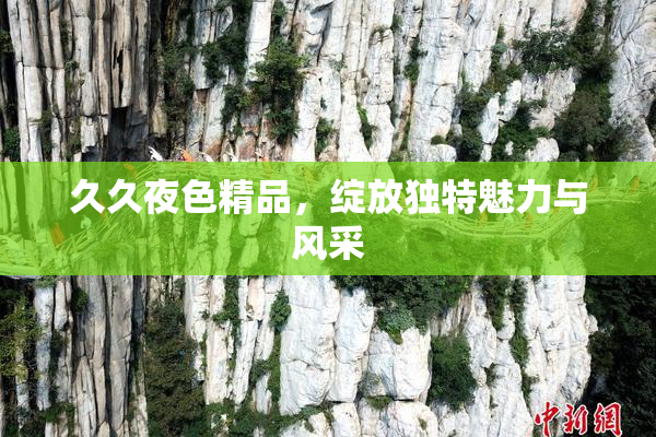 久久夜色精品，绽放独特魅力与风采