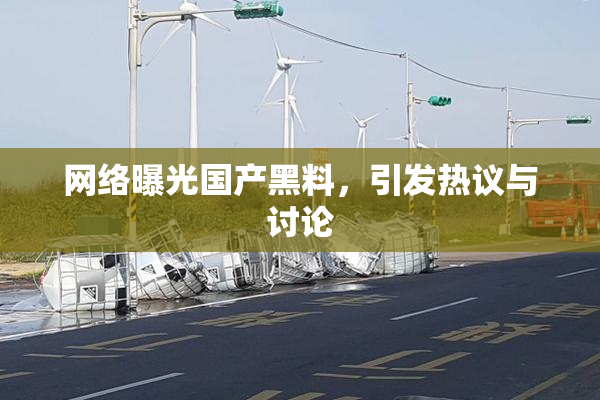 网络曝光国产黑料，引发热议与讨论