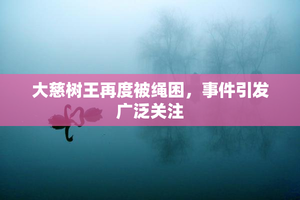 大慈树王再度被绳困，事件引发广泛关注