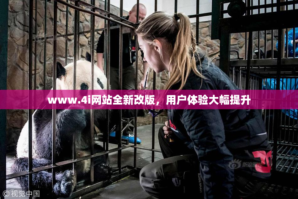 www.4i网站全新改版，用户体验大幅提升
