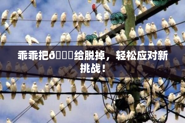 乖乖把👙给脱掉，轻松应对新挑战！