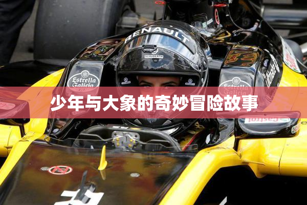 少年与大象的奇妙冒险故事