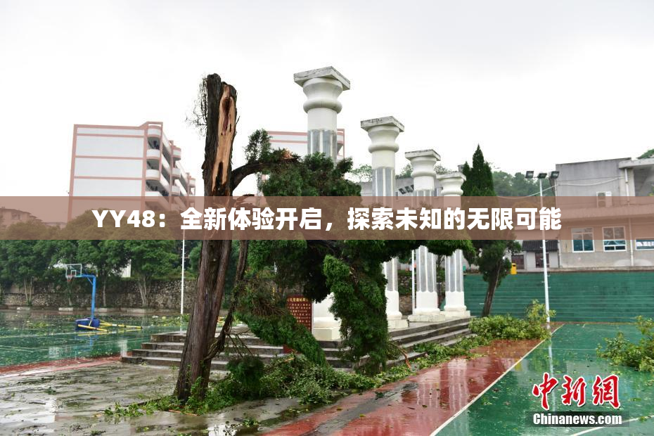 YY48：全新体验开启，探索未知的无限可能