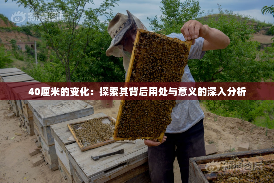 40厘米的变化：探索其背后用处与意义的深入分析
