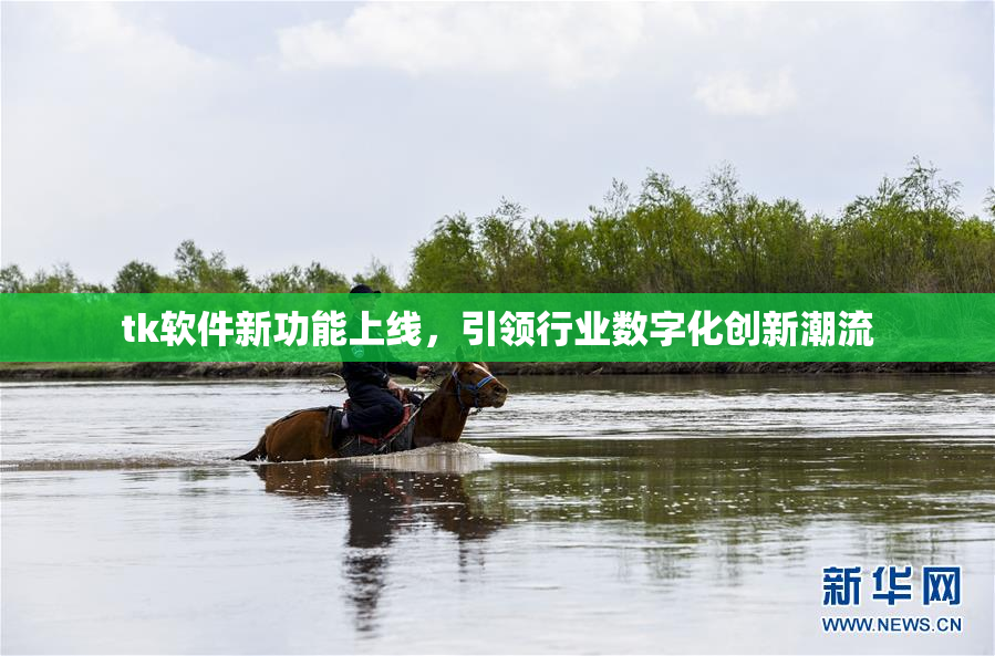 tk软件新功能上线，引领行业数字化创新潮流