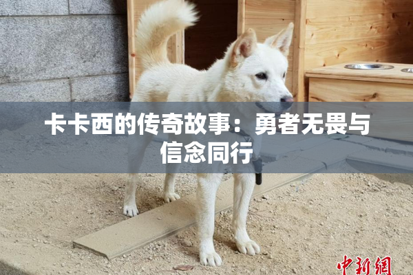 卡卡西的传奇故事：勇者无畏与信念同行