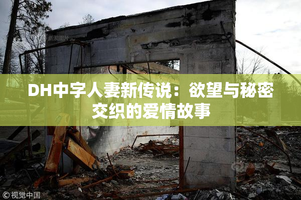 DH中字人妻新传说：欲望与秘密交织的爱情故事