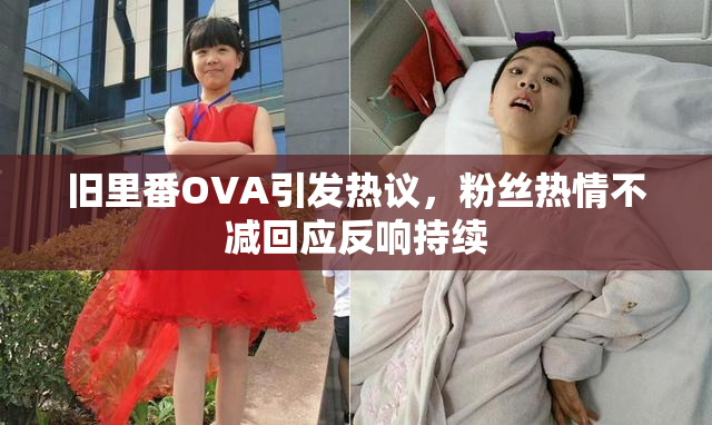 旧里番OVA引发热议，粉丝热情不减回应反响持续