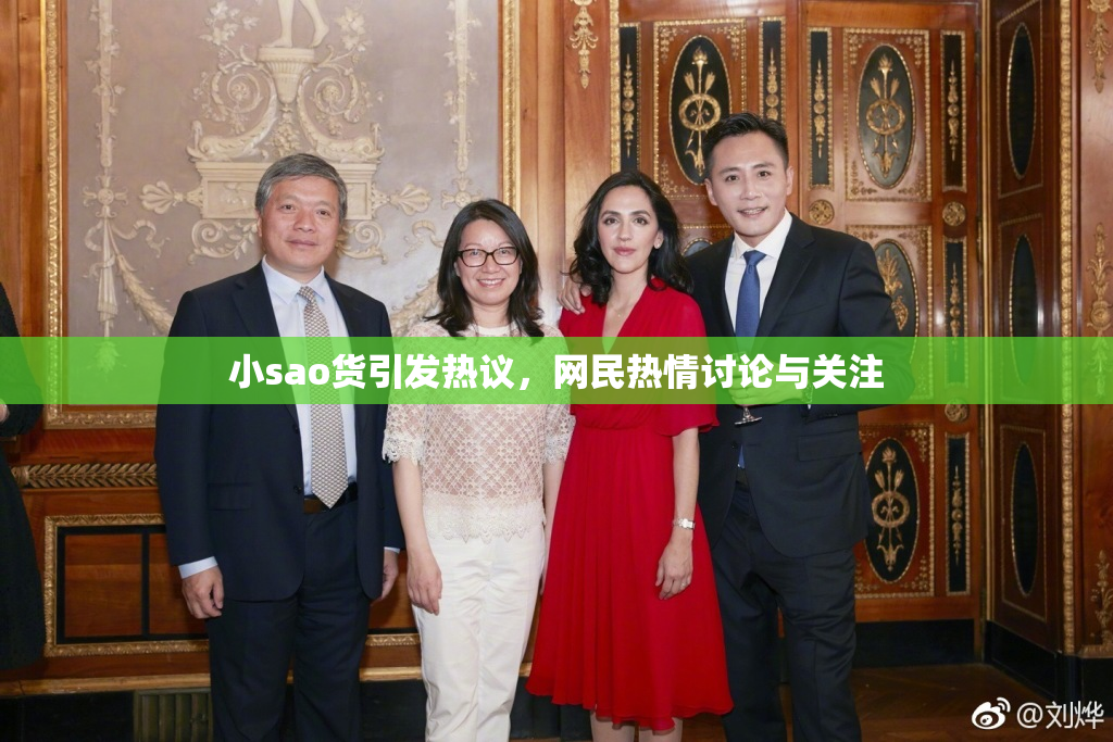 小sao货引发热议，网民热情讨论与关注
