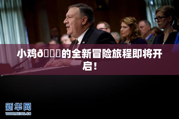 小鸡🐔的全新冒险旅程即将开启！