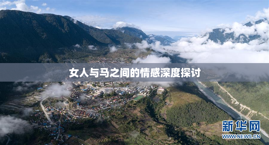 女人与马之间的情感深度探讨