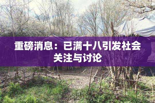 重磅消息：已满十八引发社会关注与讨论