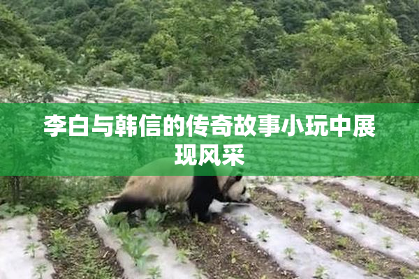 李白与韩信的传奇故事小玩中展现风采