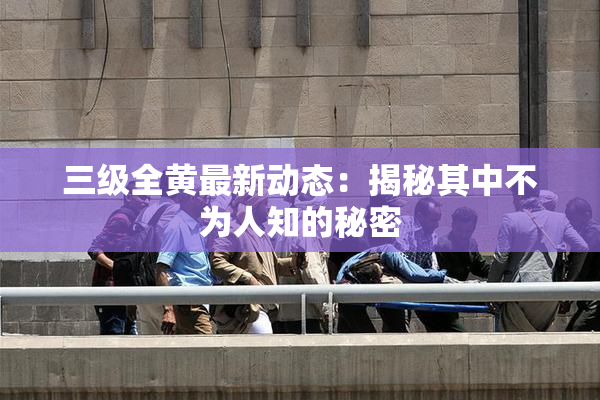 三级全黄最新动态：揭秘其中不为人知的秘密