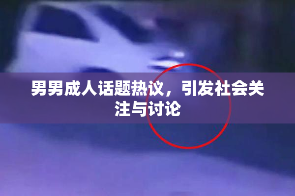 男男成人话题热议，引发社会关注与讨论