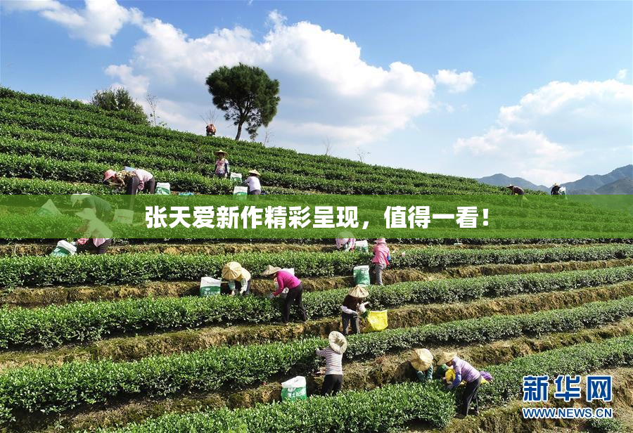 张天爱新作精彩呈现，值得一看！