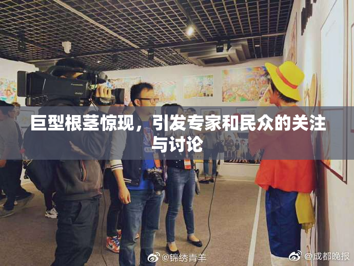巨型根茎惊现，引发专家和民众的关注与讨论