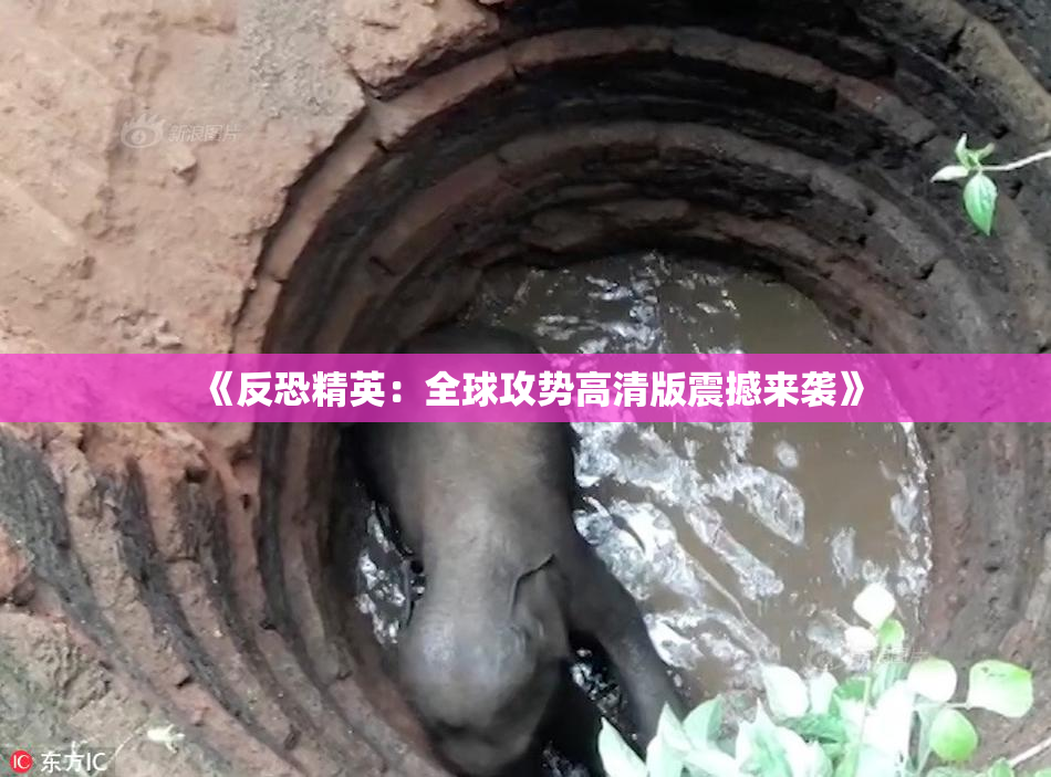 《反恐精英：全球攻势高清版震撼来袭》