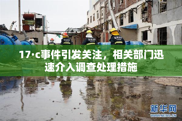 17·c事件引发关注，相关部门迅速介入调查处理措施
