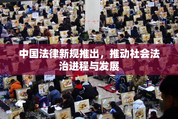 中国法律新规推出，推动社会法治进程与发展