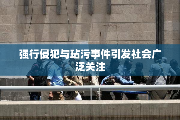 强行侵犯与玷污事件引发社会广泛关注