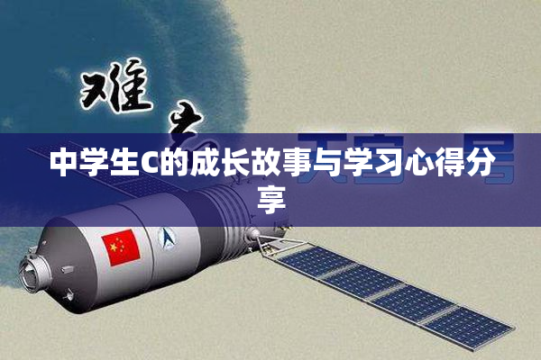 中学生C的成长故事与学习心得分享