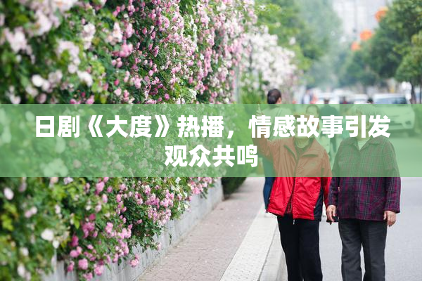 日剧《大度》热播，情感故事引发观众共鸣