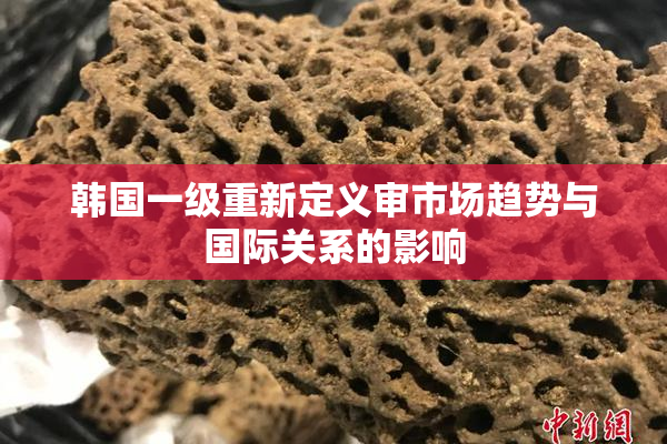 韩国一级重新定义审市场趋势与国际关系的影响