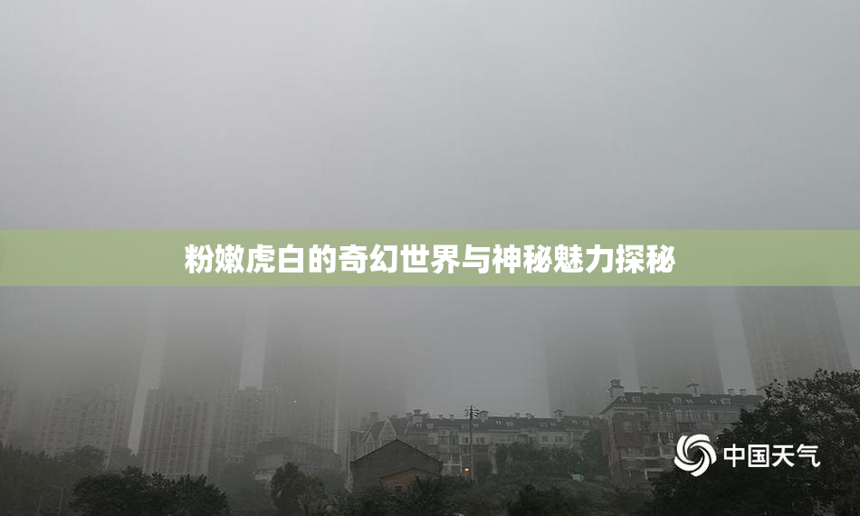 粉嫩虎白的奇幻世界与神秘魅力探秘