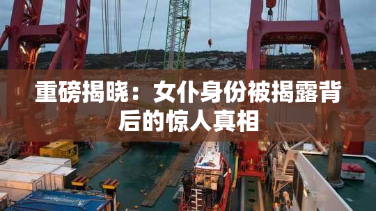 重磅揭晓：女仆身份被揭露背后的惊人真相