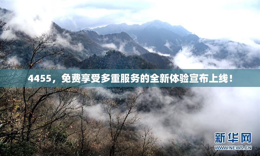 4455，免费享受多重服务的全新体验宣布上线！