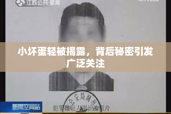 小坏蛋轻被揭露，背后秘密引发广泛关注