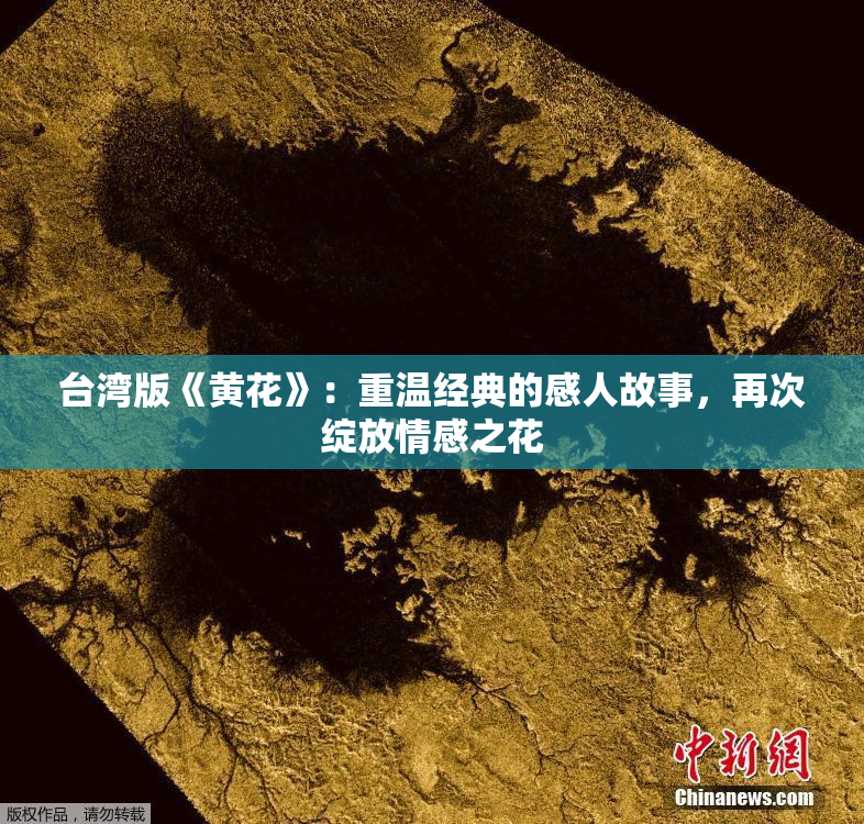 台湾版《黄花》：重温经典的感人故事，再次绽放情感之花