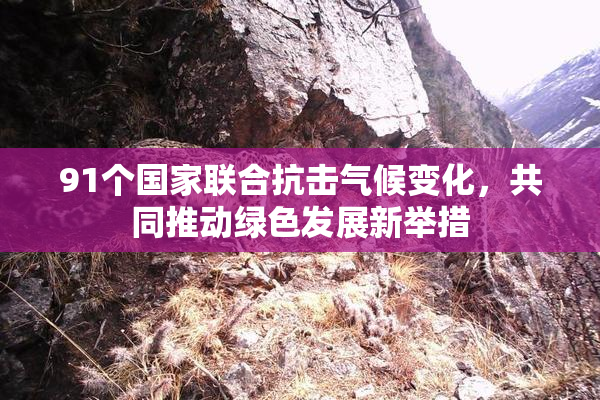 91个国家联合抗击气候变化，共同推动绿色发展新举措