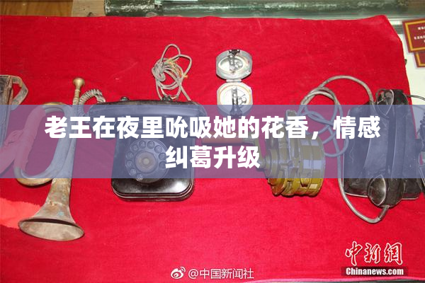 老王在夜里吮吸她的花香，情感纠葛升级