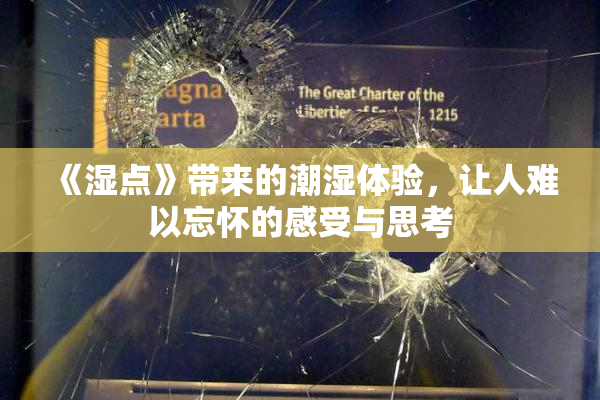 《湿点》带来的潮湿体验，让人难以忘怀的感受与思考