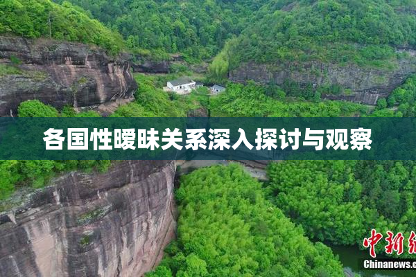 各国性暧昧关系深入探讨与观察