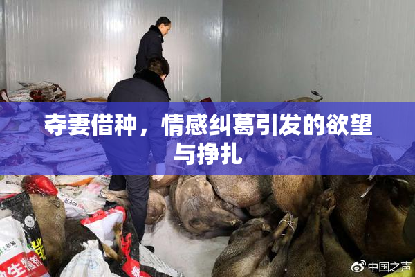 夺妻借种，情感纠葛引发的欲望与挣扎