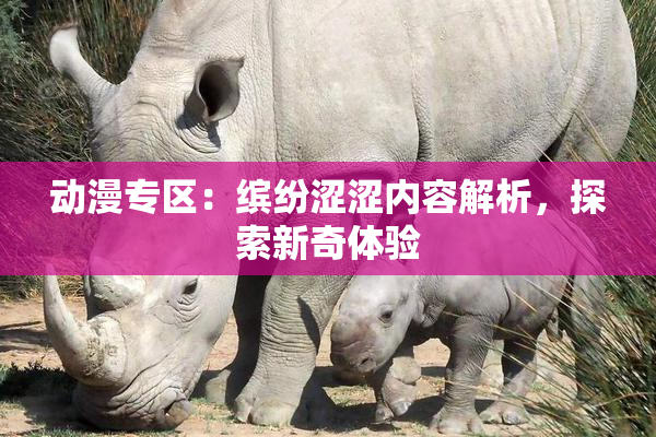 动漫专区：缤纷涩涩内容解析，探索新奇体验