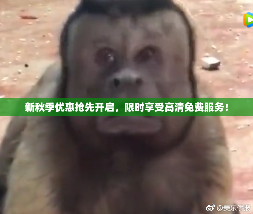 新秋季优惠抢先开启，限时享受高清免费服务！