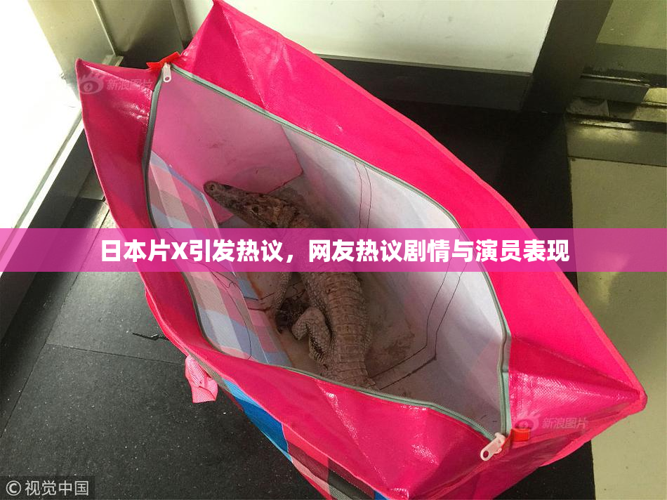 日本片X引发热议，网友热议剧情与演员表现
