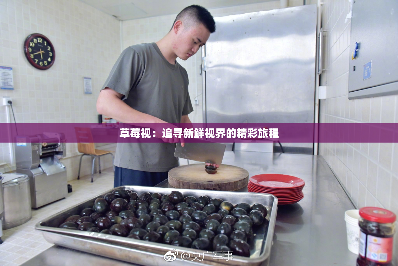 草莓视：追寻新鲜视界的精彩旅程