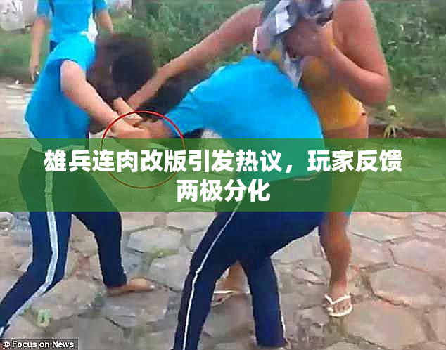 雄兵连肉改版引发热议，玩家反馈两极分化