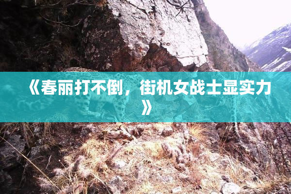 《春丽打不倒，街机女战士显实力》