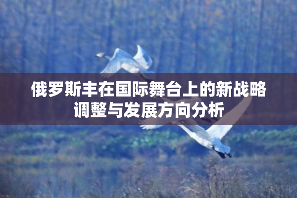 俄罗斯丰在国际舞台上的新战略调整与发展方向分析